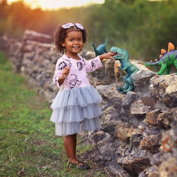 Pale Pink and Gray Dino Dress - Girls Tutu Dress - Gray Dinosaur Tutu Dress - Picture 1 of 4